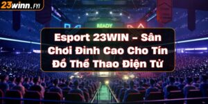 https://23winn.fyi/wp-content/uploads/2024/12/Esport-23WIN.jpg